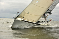 2018 Vineyard Race A_0521
