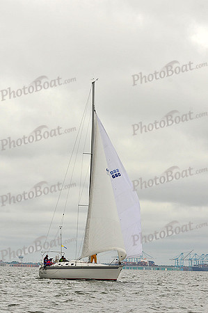 2014 Southern Bay Race Week A 919