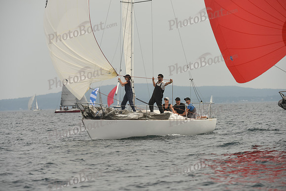 2016 Chester Race Week D_0255