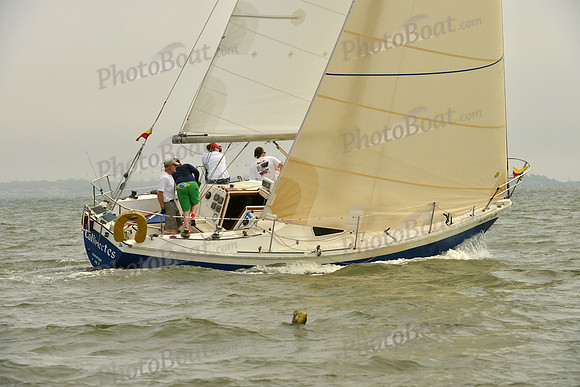 2016 Southern Bay Race Week A_0353