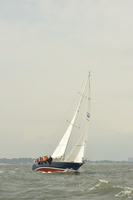 2015 Vineyard Race A 1185