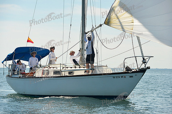 2015 Cape Charles Cup A 992