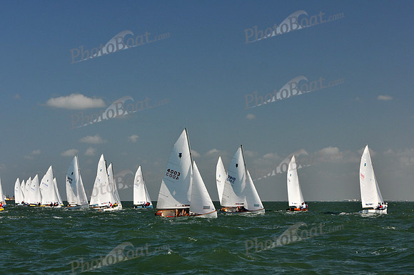 2012 Thistle Midwinters C 043
