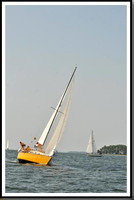 proof_2010 Gov Cup D 217
