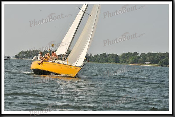 proof_2010 Gov Cup D 221