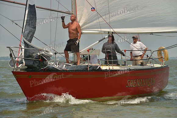 2016 Southern Bay Race Week B_0080