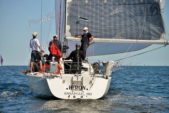 2017 Vineyard Race A_1231