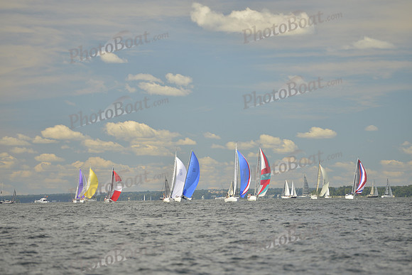 2016 Vineyard Race A_0429