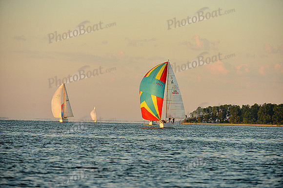2015 Gov Cup C 313