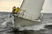 2018 Vineyard Race A_2872