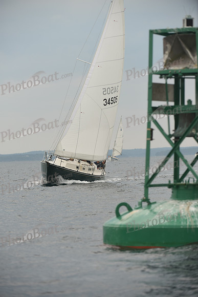 2016 Chester Race Week D_0560