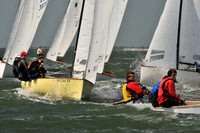 2012 Thistle Midwinters B 556