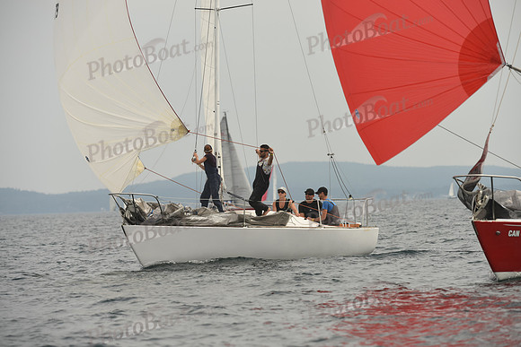 2016 Chester Race Week D_0256