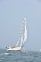 2022 Newport Bermuda_1946