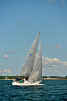 2017 Stamford Denmark Race_0309