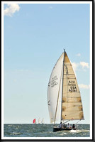 proof_2010_Vineyard_Race_1165