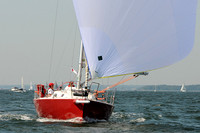 2012 Vineyard Race A 205