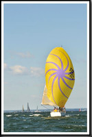 proof_2010_Vineyard_Race_1295
