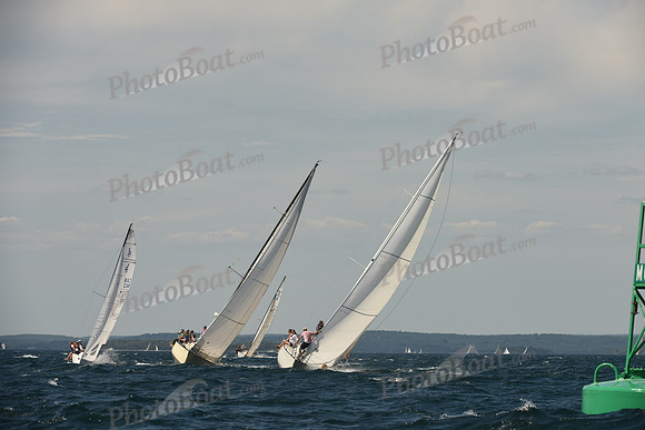 2016 Chester Race Week A_1380