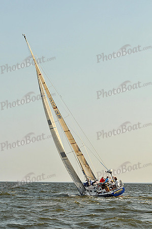 2013 Gov Cup A 2491