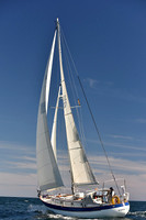 2016 Newport Bermuda Race_1136