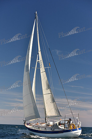 2016 Newport Bermuda Race_1136