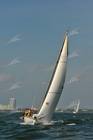 2012 Mar3 339