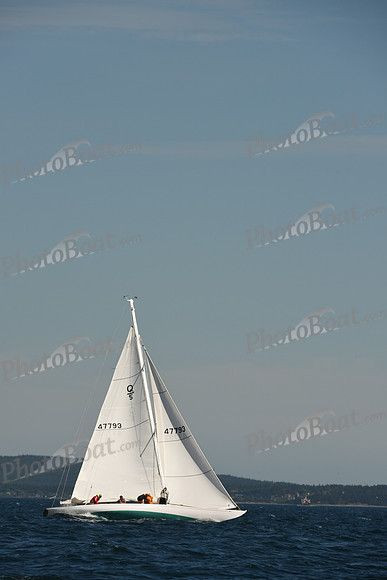 2016 Chester Race Week A_0815