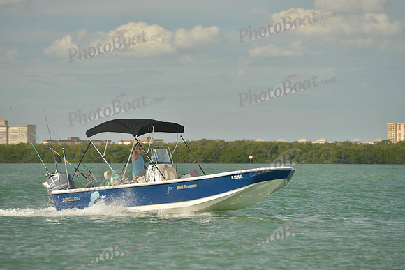 2019 Feb 10 Tampa Bay B_0101