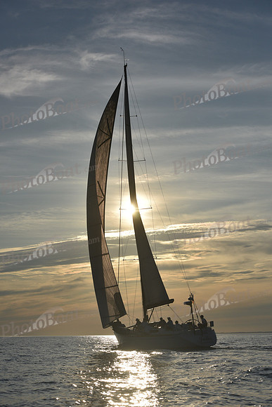 2019 Vineyard Race B_0449