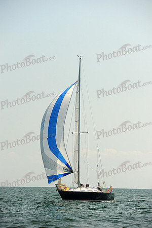 2014 Cape Charles Cup A 998