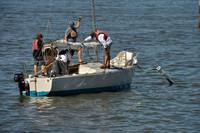 2016 NY Architects Regatta_0009