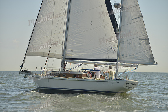 2017 Southern Bay Race Week B_0190