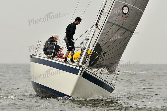 2014 Southern Bay Race Week A 288