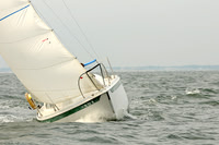 2012 Cape Charles Cup A 310
