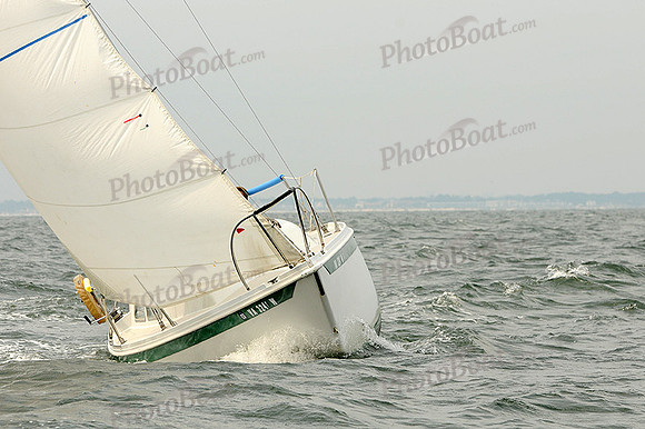 2012 Cape Charles Cup A 310
