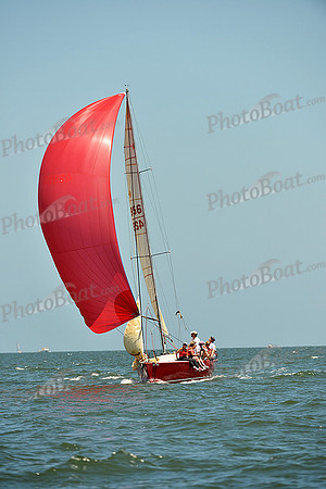 2015 Southern Bay Race Week C 1359