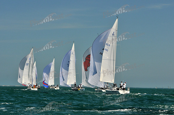 2011_KeyWestRaceWeek_C 503