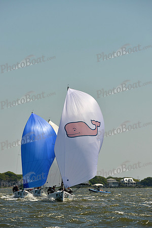2016 Charleston Race Week F_0534