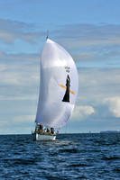 2010 IRC LIS 1273
