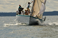 2010 IRC LIS 377