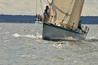 2010 IRC LIS 374