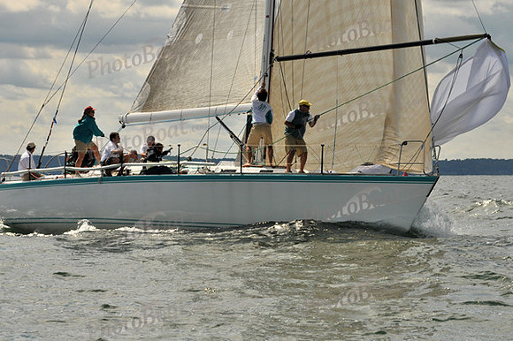 2010 IRC LIS 379
