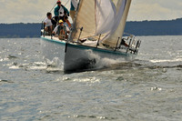 2010 IRC LIS 375