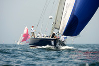 2013 BIRW C 235