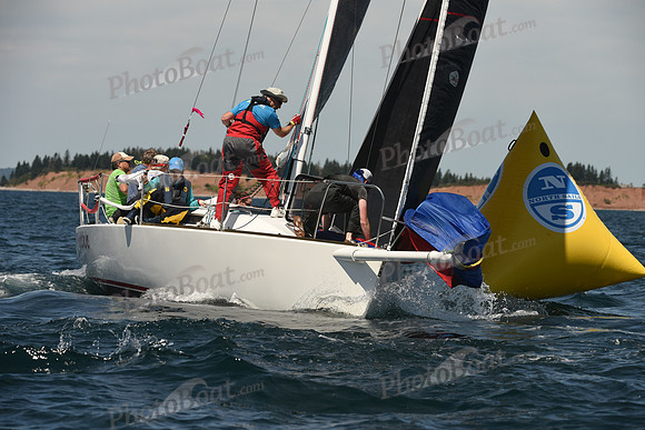 2016 Chester Race Week A_0385