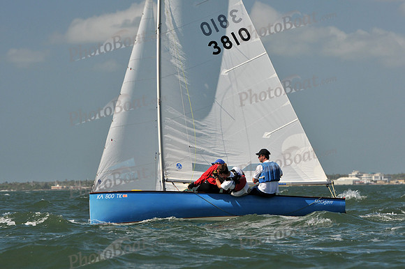 2012 Thistle Midwinters C 299