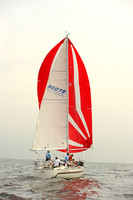 2013 Vineyard Race A 295