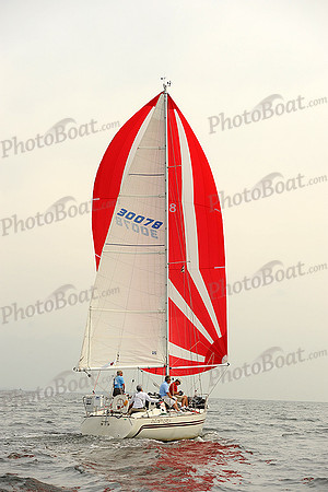 2013 Vineyard Race A 295