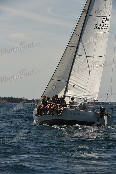 2016 Chester Race Week A_0580